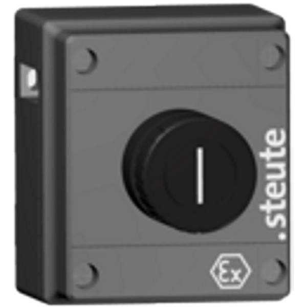 6810033101 Steute   